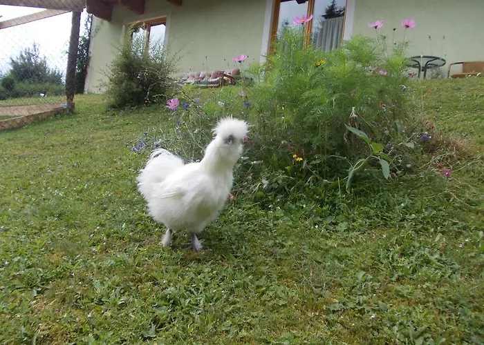 Heidi By Schladmingurlaub Lejlighed Ramsau am Dachstein