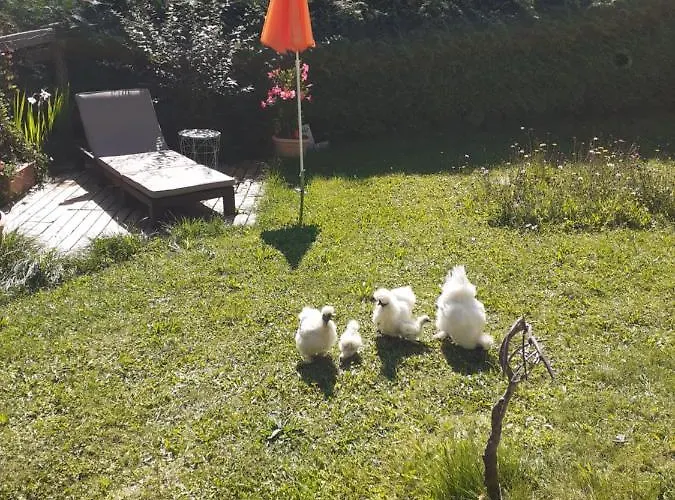 Heidi By Schladmingurlaub Lejlighed Ramsau am Dachstein